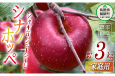 りんご シナノホッペ 家庭用 3kg ファームトヤ 沖縄県への配送不可 2025年11月上旬頃から2025年11月下旬頃まで順次発送予定 令和7年度収穫分 信州 果物 フルーツ リンゴ 林檎 長野 12500円 予約 農家直送 長野県 飯綱町 [1421]