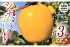 りんご シナノゴールド 家庭用 3kg ファームトヤ 沖縄県への配送不可 2025年11月中旬頃から2025年12月下旬頃まで順次発送予定 令和7年度収穫分 信州 果物 フルーツ リンゴ 林檎 長野 11000円 予約 農家直送 長野県 飯綱町 [1422]