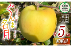 りんご ぐんま名月 家庭用 5kg ファームトヤ 沖縄県への配送不可 2025年11月中旬頃から2025年12月下旬頃まで順次発送予定 令和7年度収穫分 信州 果物 フルーツ リンゴ 林檎 名月 長野 15000円 予約 農家直送 長野県 飯綱町 [1424]