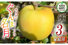 りんご ぐんま名月 家庭用 3kg ファームトヤ 沖縄県への配送不可 2025年11月中旬頃から2025年12月下旬頃まで順次発送予定 令和7年度収穫分 信州 果物 フルーツ リンゴ 林檎 名月 長野 12500円 予約 農家直送 長野県 飯綱町 [1423]