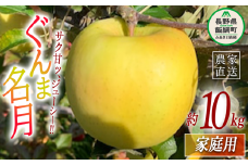 りんご ぐんま名月 家庭用 10kg ファームトヤ 2025年11月中旬頃から2025年12月下旬頃まで順次発送予定 令和7年度収穫分 信州 果物 フルーツ リンゴ 林檎 名月 長野 25000円 予約 農家直送  長野県 飯綱町 [1425]