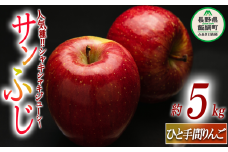 【 ひと手間りんご 】 りんご サンふじ 5kg 2025年12月中旬頃から2025年12月下旬頃まで順次発送予定 ふるさと振興公社 リンゴ 林檎 長野県 飯綱町 [1433]