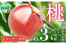 【 2025年 先行予約 】 桃 3kg 秀品 訳あり 《 品種おまかせ「 白鳳 」「 あかつき 」「 なつっこ 」いずれか1品種 》 光センサー選別品 【 予約 果物 くだもの もも フルーツ 長野 信州 クール便 15000円 】 沖縄県への配送不可 2025年8月上旬頃から2025年8月下旬頃まで順次発送予定 日時指定不可 令和7年度出荷分 長野県 飯綱町 [1441]