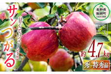 りんご サンつがる  秀～特秀4.7kg 丸茂ファーム 沖縄県への配送不可 2024年8月下旬頃から2024年9月下旬頃まで順次発送予定 エコファーマー認定 信州の環境にやさしい農産物認証 令和6年度収穫分 フルーツ リンゴ 林檎 農家直送 予約 15500円 長野県 飯綱町 [1443]