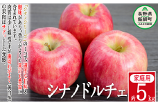 りんご シナノドルチェ 家庭用 5kg 菅谷さんのりんご 沖縄県への配送不可 2025年9月下旬頃から2025年10月上旬頃まで順次発送予定 令和7年度出荷分 信州 果物 フルーツ リンゴ 林檎 長野 12000円 予約 農家直送 長野県 飯綱町 [1447]