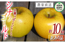 りんご シナノゴールド 訳あり 10kg マルヤマフルーツ農園 沖縄県への配送不可 2024年11月上旬頃から2024年11月中旬頃までお申込み順に発送予定 令和6年度収穫分 農産物認証50-30 減農薬栽培 ( 除草剤 化学肥料 不使用 ) 長野県 飯綱町 [1449]
