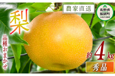 梨 朝どれ 和梨 秀品 4kg 以上 配送先は本州限定 2025年9月上旬頃から2025年10月上旬頃まで順次発送予定 窪田農園 令和7年度収穫分 除草剤不使用 長野県 飯綱町 [1468]