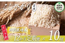 特別栽培米 かざまファーマー コシヒカリ （ 玄米 ） 10kg × 12回 【12カ月定期便】【令和6年度収穫分】 ※沖縄および離島への配送不可 ※2024年10月上旬頃から順次発送予定 信州の環境にやさしい農産物認証 長野県 飯綱町 [1472]