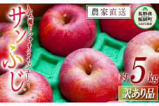 りんご サンふじ 訳あり 5kg ファームたんぽぽ 沖縄県への配送不可 2025年12月上旬頃から2025年12月下旬頃まで順次発送予定 令和7年度収穫分 信州 果物 フルーツ リンゴ 林檎 長野 予約 農家直送 長野県 飯綱町 [1473]