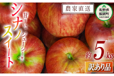 りんご シナノスイート 訳あり 5kg 令和7年度収穫分 沖縄県への配送不可 2025年10月上旬頃から2025年10月下旬頃まで順次発送予定 宮本ファーム エコファーマー 減農薬栽培 長野県 飯綱町 [1490]