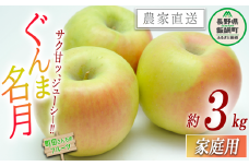 りんご ぐんま名月 家庭用 3kg 沖縄県への配送不可 2025年11月上旬頃から2025年12月上旬頃まで順次発送予定 町田さんちのりんご 長野県 飯綱町 [1494]