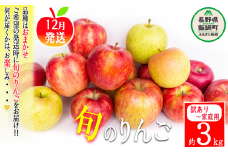 りんご 農家応援企画 冬のりんご 【 12月 】 訳あり ～ 家庭用 3kg ※2022年12月より順次発送予定 ※沖縄および離島への配送不可 長野県 飯綱町 [1115]