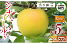 りんご シナノゴールド 家庭用 〜 訳あり 5kg 増田ファーム 沖縄県への配送不可 2025年11月上旬頃から2025年12月上旬頃まで順次発送予定 令和7年度収穫分 信州 果物 フルーツ リンゴ 林檎 長野 予約 農家直送 長野県 飯綱町 [1498]