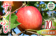 りんご サンふじ 贅沢な 家庭用 10kg ( 22玉 〜 40玉 ) 庚申山荘ファーム  2025年11月中旬頃から2025年12月上旬頃まで順次発送予定 令和7年度収穫分 信州 果物 フルーツ リンゴ 林檎 長野 25500円 予約 農家直送 長野県 飯綱町 [1478]