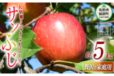 りんご サンふじ 贅沢な 家庭用 5kg ( 11玉 〜 20玉 ) 庚申山荘ファーム 沖縄県への配送不可 2025年11月中旬頃から2025年12月上旬頃まで順次発送予定 令和7年度収穫分 信州 果物 フルーツ リンゴ 林檎 長野 17000円 予約 農家直送 長野県 飯綱町 [1477]