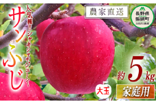 りんご サンふじ ( 大玉 ) 家庭用 5kg 中村ファーム 沖縄県への配送不可 2025年11月下旬頃から2026年1月下旬頃までお申込み順に発送予定 令和7年度収穫分 長野県 飯綱町 [0864]