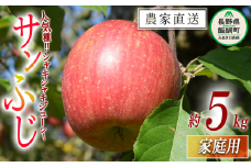りんご サンふじ 家庭用 5kg カネタ栁澤 沖縄県への配送不可 2023年11月下旬頃から2023年12月下旬頃まで順次発送予定 令和5年度収穫分 長野県 飯綱町 [1474]
