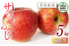 りんご サンふじ 家庭用 5kg 平井隆二 沖縄県への配送不可 2023年12月上旬頃から2023年12月下旬頃まで順次発送予定 令和5年度収穫分 信州 果物 フルーツ リンゴ 林檎 長野 12500円 予約 農家直送 長野県 飯綱町 [0565]