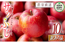 りんご サンふじ 訳あり 10kg 令和7年度収穫分 沖縄県への配送不可 2025年12月上旬頃から2025年12月下旬頃まで順次発送予定 宮本ファーム エコファーマー 減農薬栽培 長野県 飯綱町 [1492]