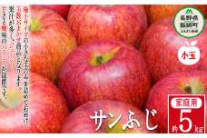 りんご 農家応援企画 サンふじ 家庭用 5kg （ 小玉 ） ※沖縄および離島への配送不可 長野県 飯綱町 [0949]