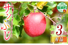 ＼農家応援企画 りんご／ サンふじ 3Kg 秀 長野県 飯綱町産 令和7年度収穫分 【 リンゴ 林檎 ふじ 信州 長野 秀品 14000円 14000 】 2025年11月下旬から12月下旬頃までお申込み順に発送予定 沖縄および離島への配送不可 長野県 飯綱町 [1285]