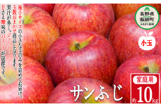 りんご 農家応援企画 サンふじ 家庭用 10kg （ 小玉 ） ※沖縄および離島への配送不可 長野県 飯綱町 [0957]