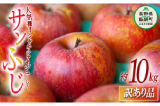 【 訳あり品 】 りんご サンふじ 訳あり 10kg 2025年12月上旬頃から2026年2月下旬頃まで順次発送予定 ふるさと振興公社 リンゴ 林檎 長野県 飯綱町 [0289]