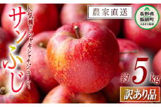 りんご サンふじ 訳あり 5kg 令和7年度収穫分 沖縄県への配送不可 2025年12月上旬頃から2025年12月下旬頃まで順次発送予定 宮本ファーム エコファーマー 減農薬栽培 長野県 飯綱町 [1521]