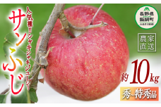 りんご サンふじ 秀～特秀 10kg かざまファーマー 沖縄県への配送不可 2024年11月中旬頃から2025年3月上旬頃まで順次発送予定 令和6年度収穫分 信州 果物 フルーツ リンゴ 林檎 長野 26000円 予約 農家直送 長野県 飯綱町 [0257]
