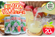 無添加 りんごっこジュース 1ケース ： 160g × 20本 入り 果汁100％ りんごジュース 飲みきりサイズ 沖縄県への配送不可  長野県 飯綱町 [1522]