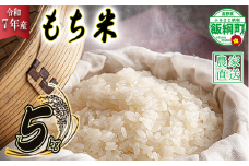 米 もち米 5kg ( 令和7年産 ) 沖縄県への配送不可 2025年11月上旬頃から順次発送予定 米澤商店 長野県 飯綱町 [1523]