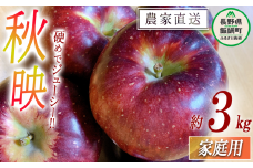 りんご 秋映 家庭用 3kg 中村ファーム 沖縄県への配送不可 2025年10月上旬頃から2025年10月下旬頃まで順次発送予定 令和７年度収穫分 長野県 飯綱町 [1542]