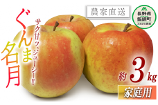 りんご ぐんま名月 家庭用 3kg 中村ファーム 沖縄県への配送不可 2025年11月中旬頃から2025年12月上旬頃まで順次発送予定 令和7年度収穫分 長野県 飯綱町 [1543]