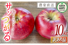 りんご サンつがる 訳あり 10kg 令和7年度収穫分 沖縄県への配送不可 2025年9月上旬頃から2025年9月下旬頃まで順次発送予定 宮本ファーム エコファーマー 減農薬栽培 長野県 飯綱町 [1530]