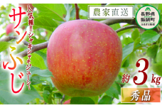 りんご サンふじ 秀 3kg 令和7年度収穫分 沖縄県への配送不可 2025年12月上旬頃から2025年12月下旬頃まで順次発送予定 宮本ファーム エコファーマー 減農薬栽培 長野県 飯綱町 [1533]