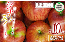りんご シナノスイート 訳あり 10kg 令和7年度収穫分 沖縄県への配送不可 2025年10月上旬頃から2025年10月下旬頃まで順次発送予定 宮本ファーム エコファーマー 減農薬栽培 長野県 飯綱町 [1532]
