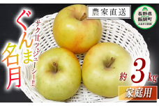 りんご ぐんま名月 家庭用 3kg 永野農園 沖縄県への配送不可 2025年11月上旬頃から2025年11月下旬頃まで順次発送予定 令和7年度収穫分 信州 果物 フルーツ リンゴ 林檎 長野 予約 農家直送 長野県 飯綱町 [1557]