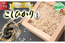 【 特A一等米 / コシヒカリ 】 玄米 こしひかり 5kg ( 令和7年産 ) ふるさと振興個社 沖縄県への配送不可 2025年11月上旬頃から順次発送予定 コシヒカリ 玄米 お米 信州 予約 農家直送 長野県 飯綱町 [1559]