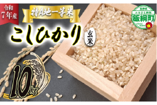 【 特A一等米 / コシヒカリ 】 玄米 こしひかり 10kg ( 令和7年産 ) ふるさと振興個社 2025年11月上旬頃から順次発送予定 コシヒカリ 玄米 お米 信州 予約 農家直送 長野県 飯綱町 [1560]