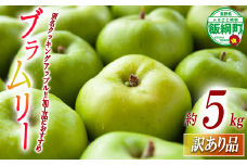 【 すっぱいりんご 】 りんご ブラムリー 訳あり 5kg 沖縄県への配送不可 クッキングアップル 2025年8月下旬頃から2025年9月下旬頃まで順次発送予定 ふるさと振興公社 リンゴ 林檎 長野県 飯綱町 [1561]