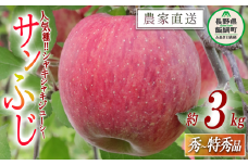 りんご サンふじ 秀 〜 特秀 3kg 大友農場 エコファーマー認定 沖縄県への配送不可 2025年12月上旬頃から2025年12月中旬頃まで順次発送予定 令和7年度収穫分 信州 果物 フルーツ リンゴ 林檎 長野 予約 農家直送 長野県 飯綱町 [1503]