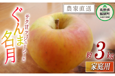 りんご いいづな産 ぐんま名月 家庭用 3kg 大友農場 エコファーマー認定 沖縄県への配送不可 2025年11月上旬頃から2025年11月末頃まで順次発送予定 令和7年度収穫分 信州 果物 フルーツ リンゴ 林檎 長野 予約 農家直送 長野県 飯綱町 [1549]