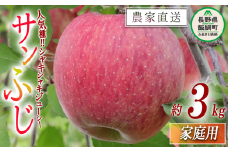 りんご 食べきり サンふじ 家庭用 3kg 大友農場 エコファーマー認定 沖縄県への配送不可 2025年12月中旬頃から2026年1月末頃まで順次発送予定 令和7年度収穫分 信州 果物 フルーツ リンゴ 林檎 長野 予約 農家直送 長野県 飯綱町 [1550]