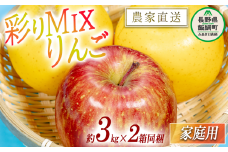 りんご 黄紅彩りMIXりんご サンふじ シナノゴールド 家庭用 3kg × 各1箱 合計 2箱 セット 大友農場 エコファーマー認定 沖縄県への配送不可 2025年12月中旬頃から2026年1月下旬頃まで順次発送予定 令和7年度収穫分 信州 果物 フルーツ リンゴ 林檎 長野 予約 農家直送 長野県 飯綱町 [1553]