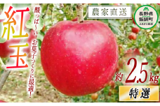 りんご 紅玉 特選 2.5kg やまじゅうファーム 沖縄県への配送不可 2025年10月上旬頃から2025年10月中旬頃まで順次発送予定 令和7年度収穫分 信州の環境にやさしい農産物 減農薬栽培 長野県 飯綱町 [1536]
