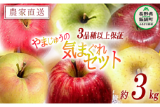 りんご 3品種以上保証 気まぐれセット 3kg 詰め合わせ セット やまじゅうファーム 沖縄県への配送不可 2025年11月中旬頃から2025年12月下旬頃まで順次発送予定 令和7年度収穫分 信州の環境にやさしい農産物 減農薬栽培 長野県 飯綱町 [1538]