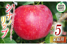 りんご シナノリップ 家庭用 5kg ヤマウラ農園 沖縄県への配送不可 2025年8月中旬頃から2025年8月下旬頃まで順次発送予定 令和7年度収穫分 信州 果物 フルーツ リンゴ 林檎 長野 17000円 予約 農家直送 長野県 飯綱町 [1570]