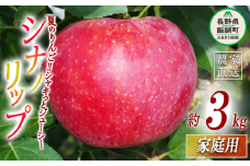 りんご シナノリップ 家庭用 3kg ヤマウラ農園 沖縄県への配送不可 2025年8月中旬頃から2025年8月下旬頃まで順次発送予定 令和7年度収穫分 信州 果物 フルーツ リンゴ 林檎 長野 13500円 予約 農家直送 長野県 飯綱町 [1569]