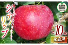 りんご シナノリップ 家庭用 10kg ヤマウラ農園 2025年8月中旬頃から2025年8月下旬頃まで順次発送予定 令和7年度収穫分 信州 果物 フルーツ リンゴ 林檎 長野 26500円 予約 農家直送 長野県 飯綱町 [1571]