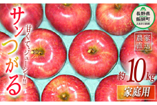 りんご サンつがる 家庭用 10kg ヤマウラ農園 2025年9月上旬頃から2025年9月中旬頃まで順次発送予定 令和7年度収穫分 信州 果物 フルーツ リンゴ 林檎 長野 22000円 予約 農家直送 長野県 飯綱町 [1574]